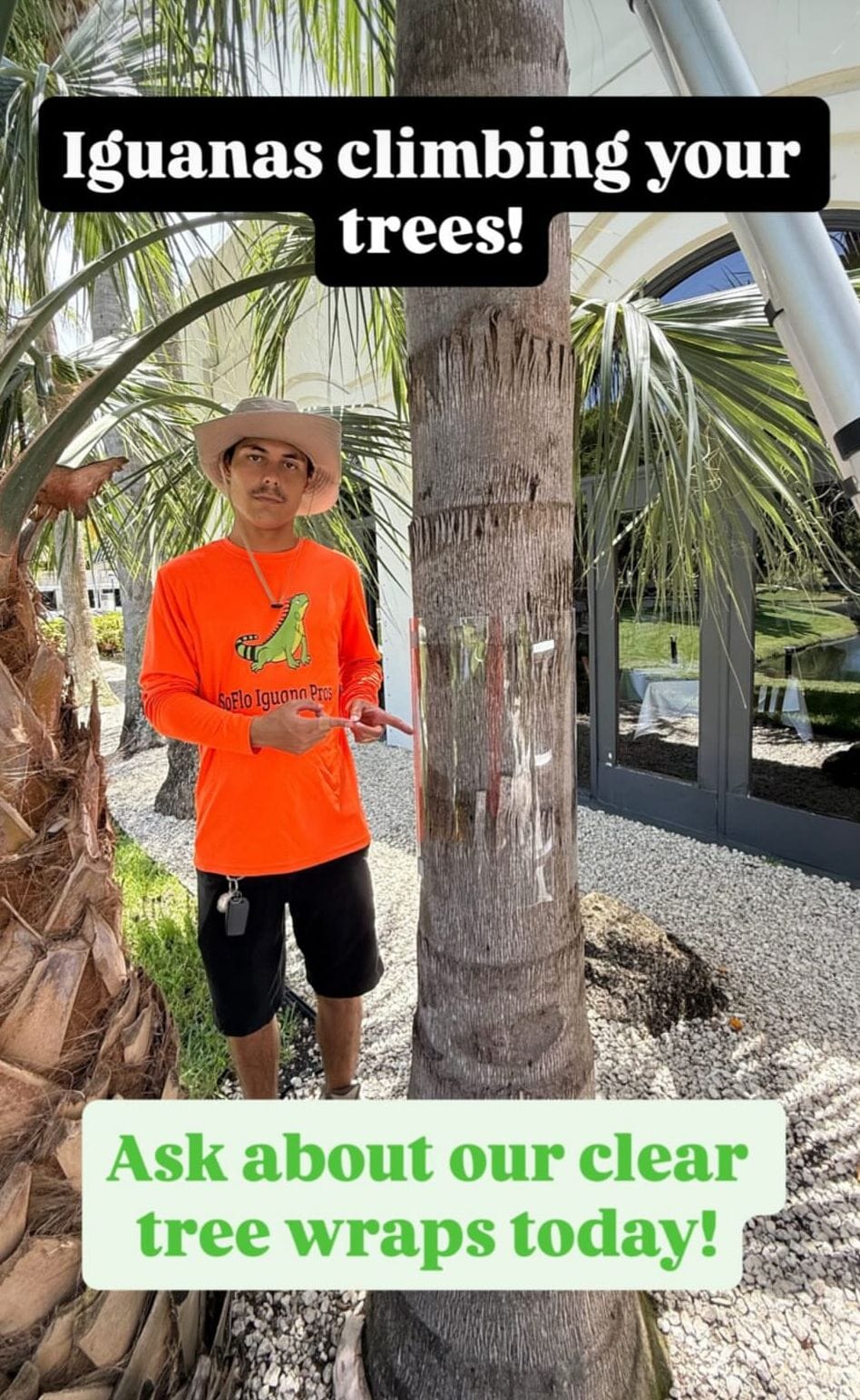 The waterfront homeowner's iguana-prevention checklist