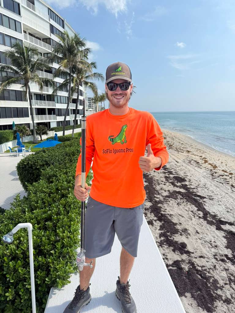Waterfront iguana problems