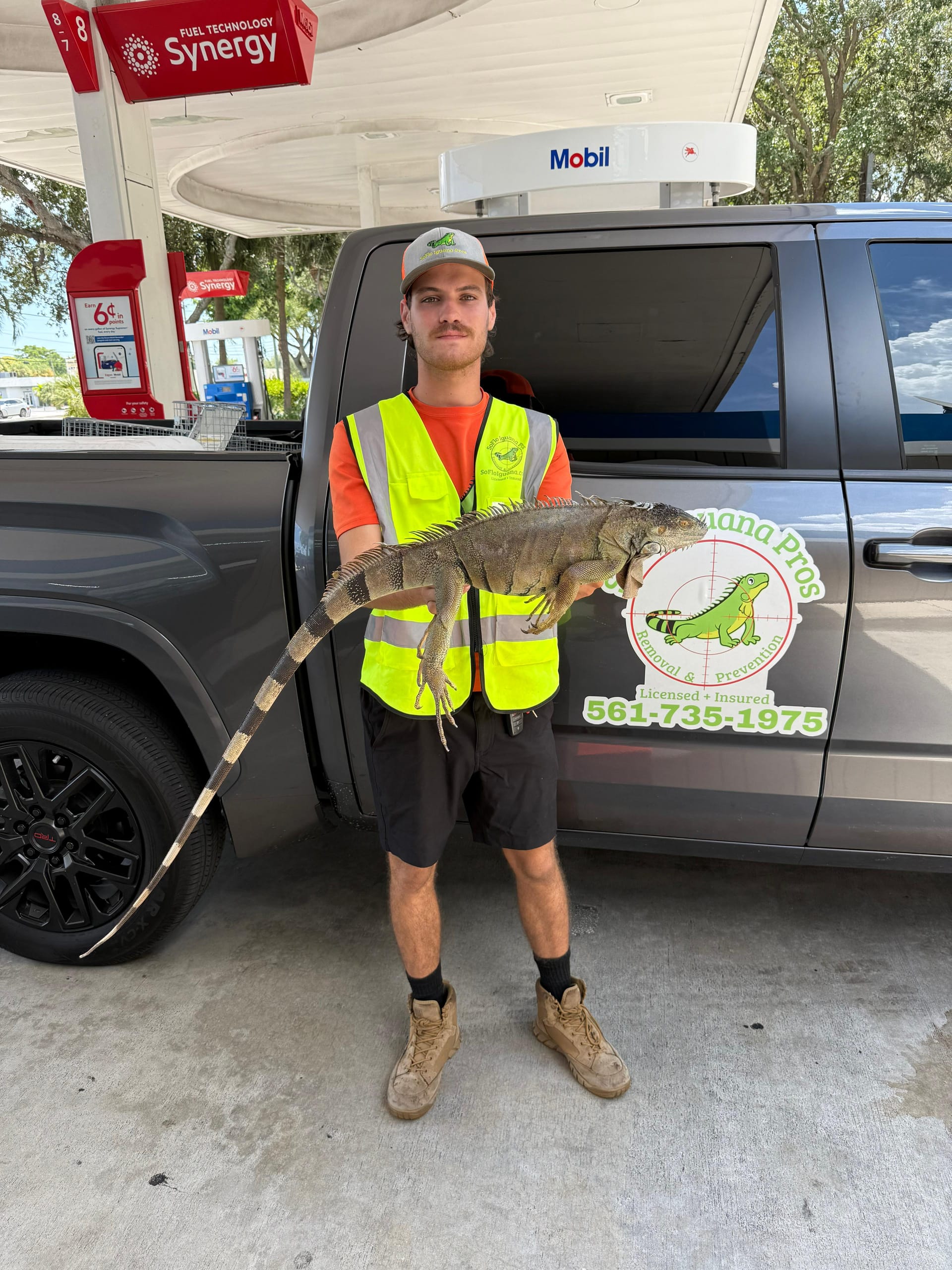 Iguana removal technician at gas station