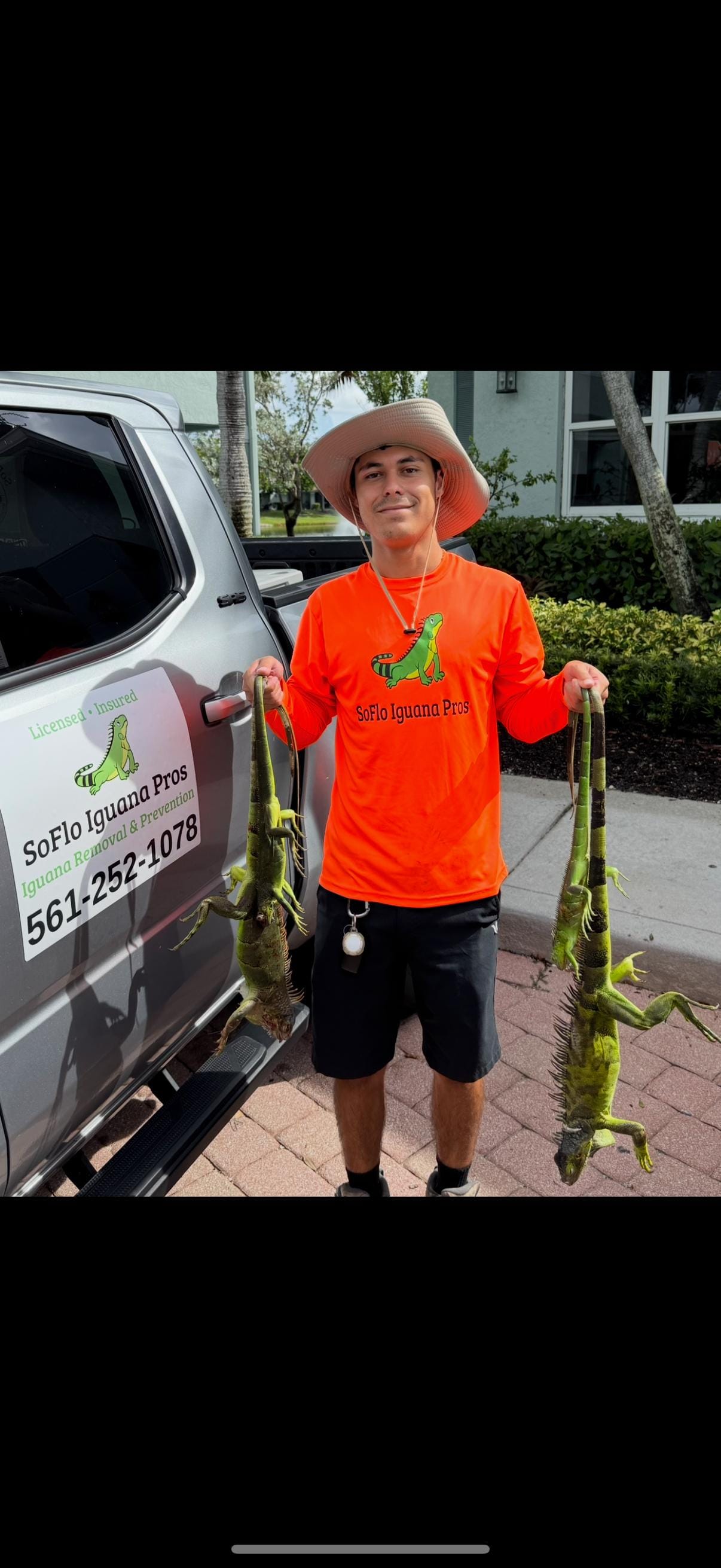 Cane toads and your dog: the South Florida danger every owner should know