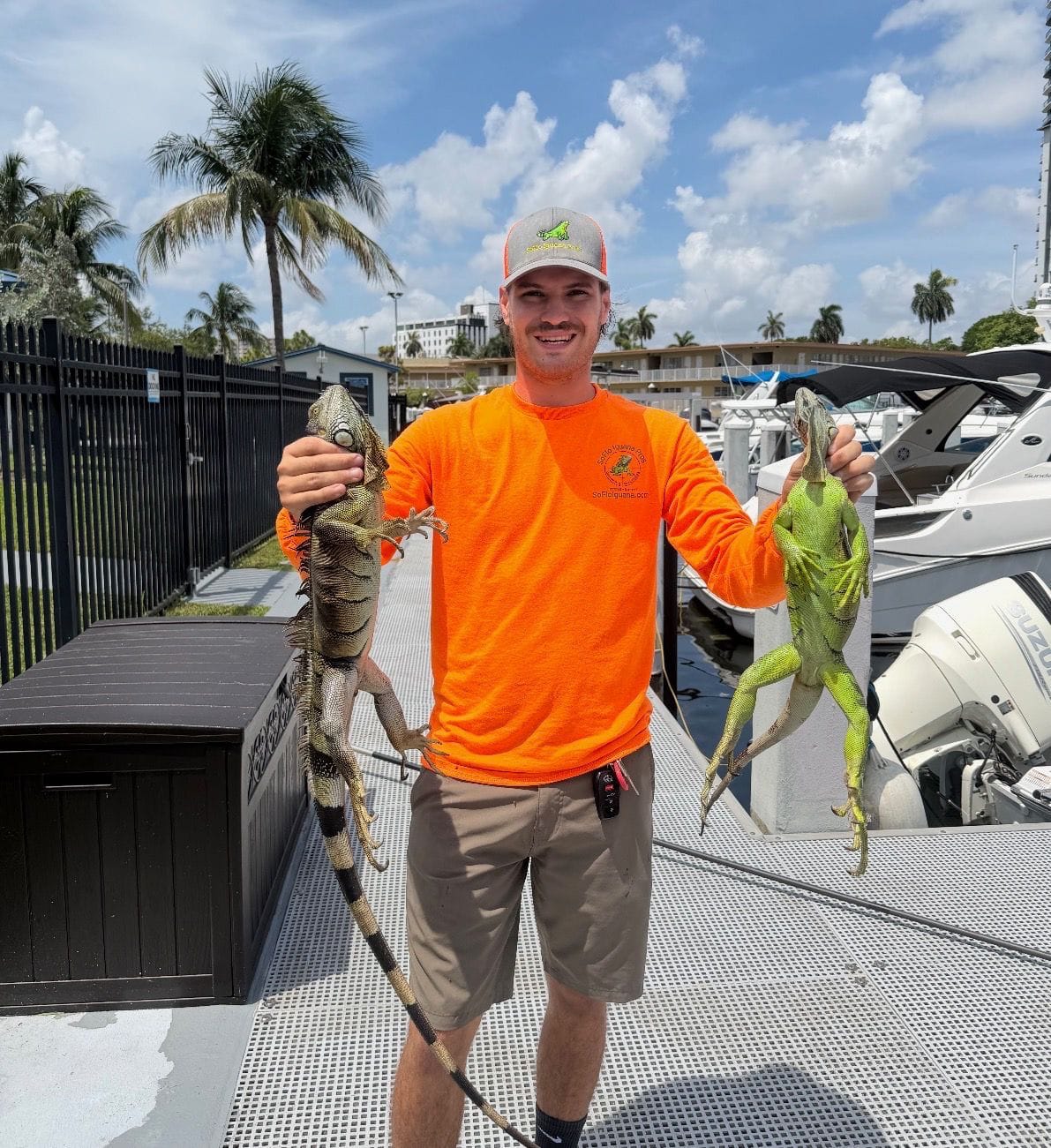 Do you handle dead iguana removal?