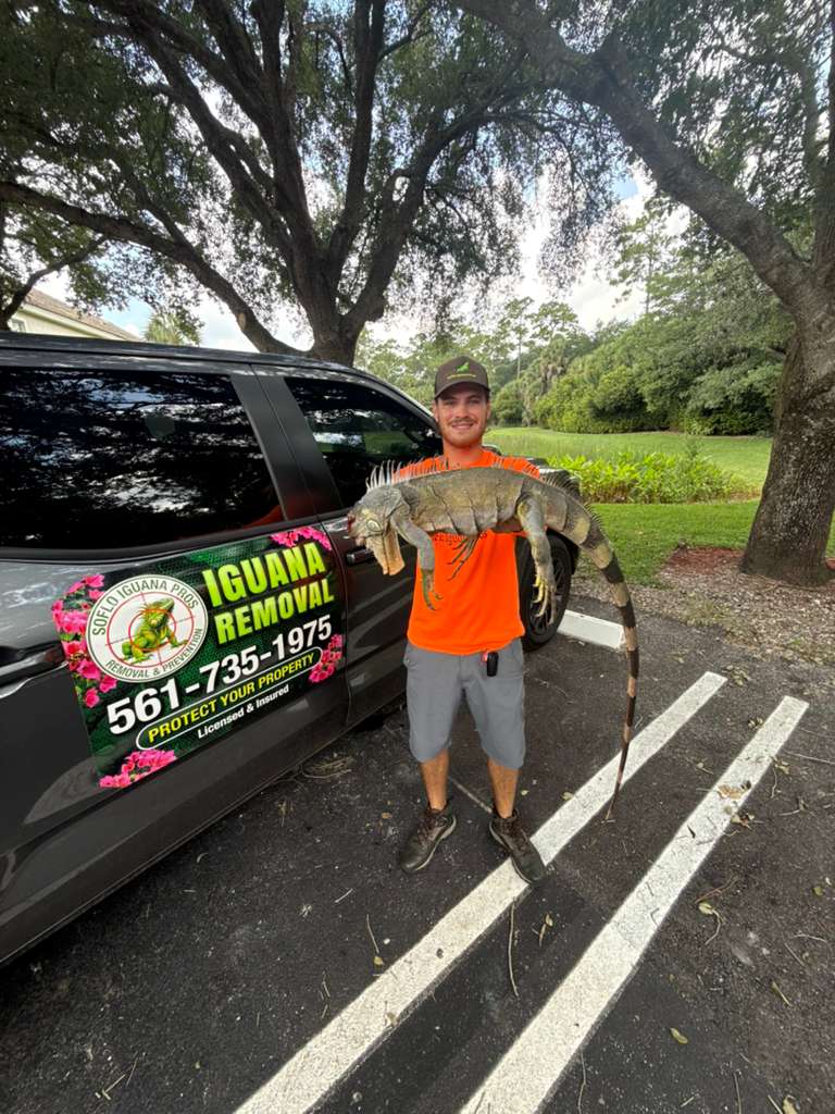 Technician with captured iguana by branded truck
