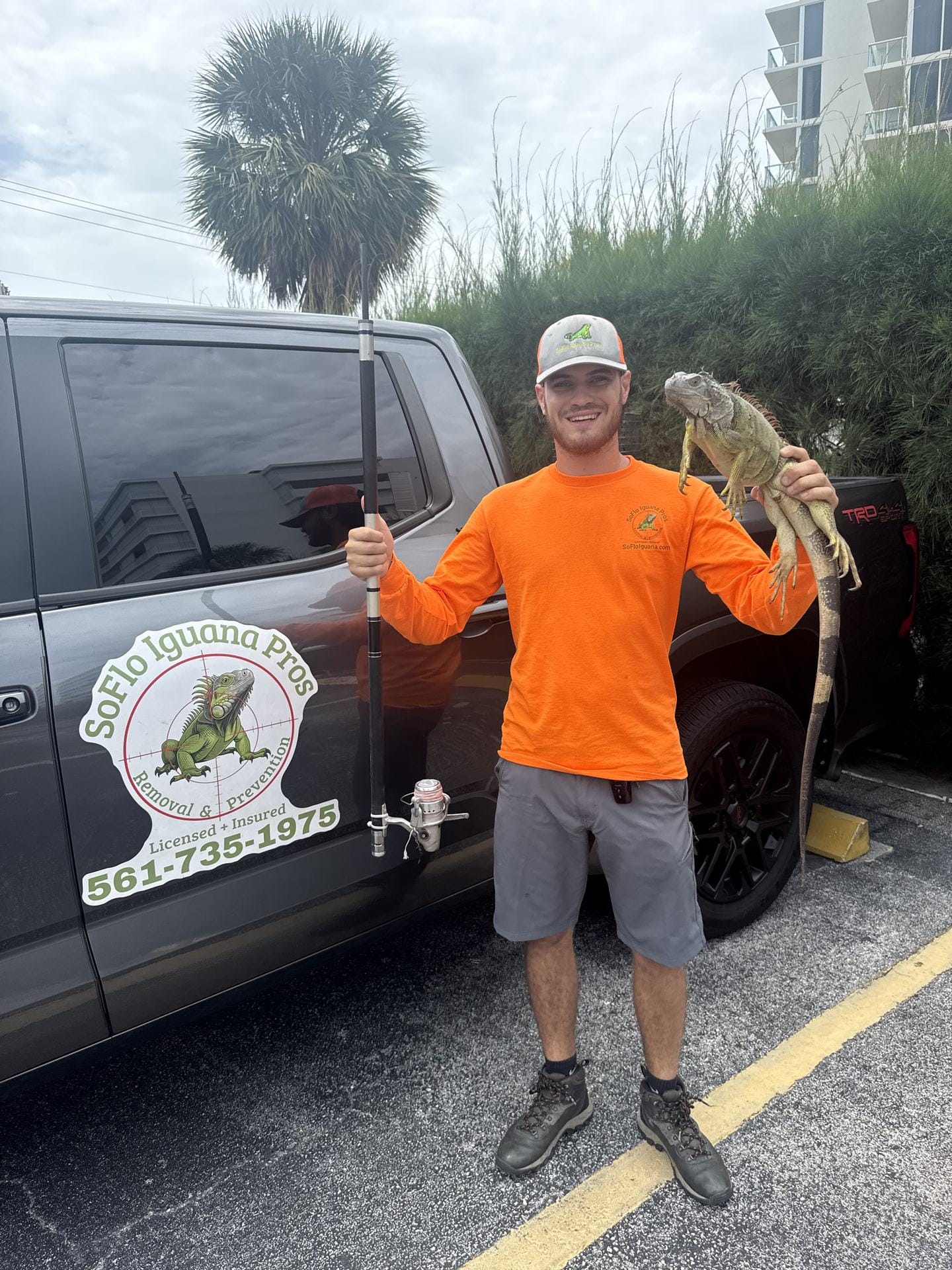 Iguana on a Palm Beach County golf course lake bank — SoFlo Iguana Pros golf program
