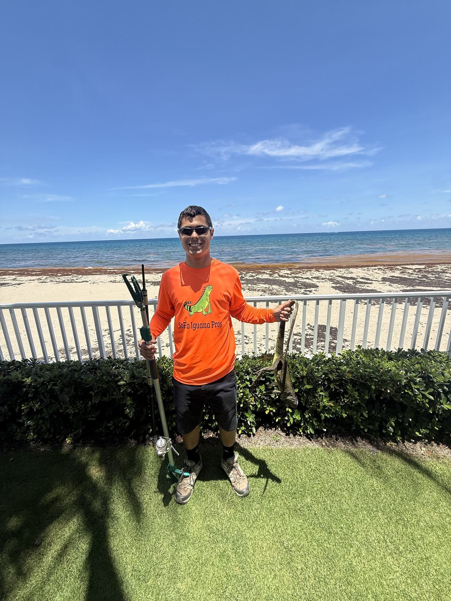Iguana removal in Lake Park, FL