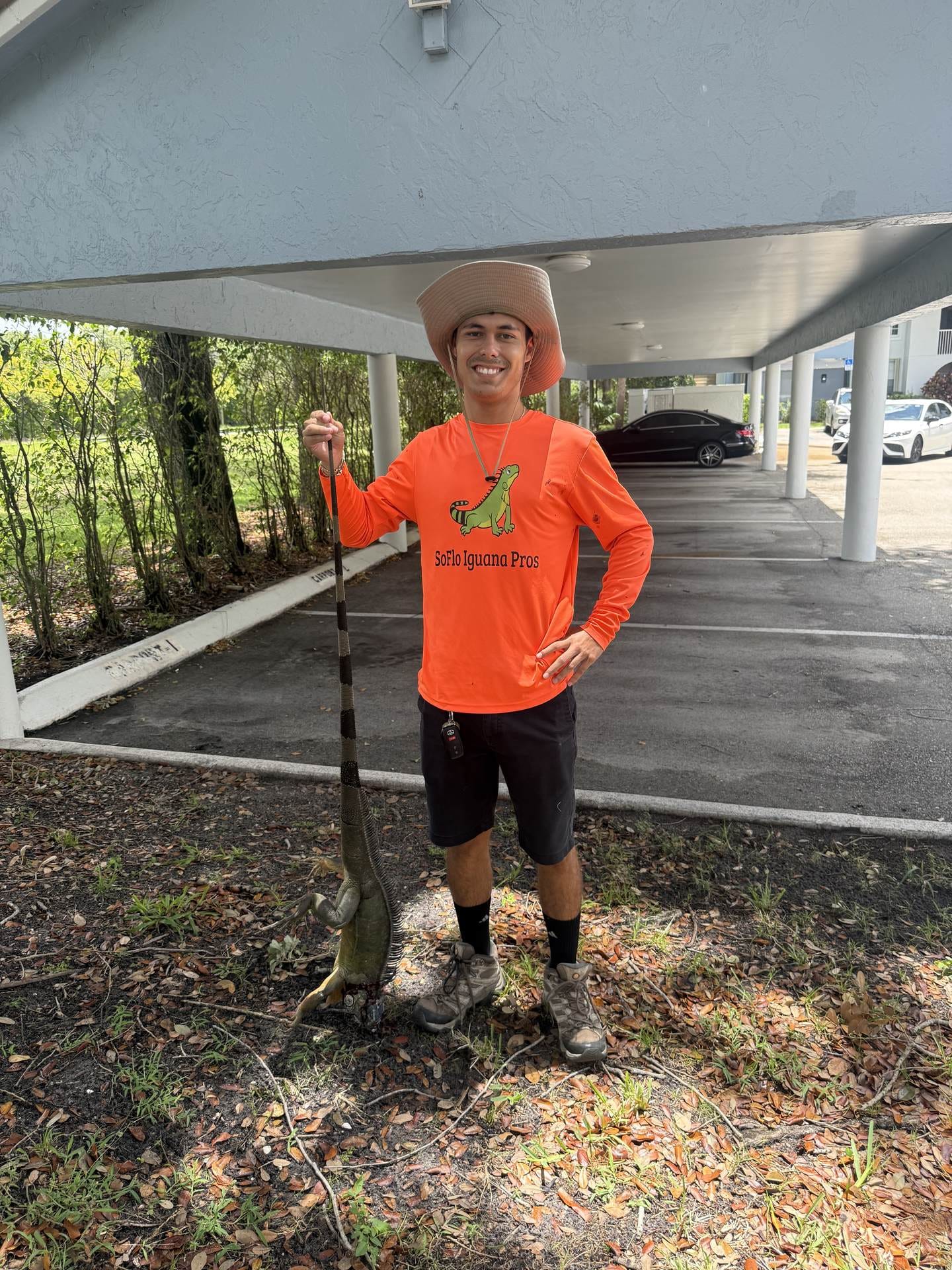 Iguana removal in West Palm Beach, FL