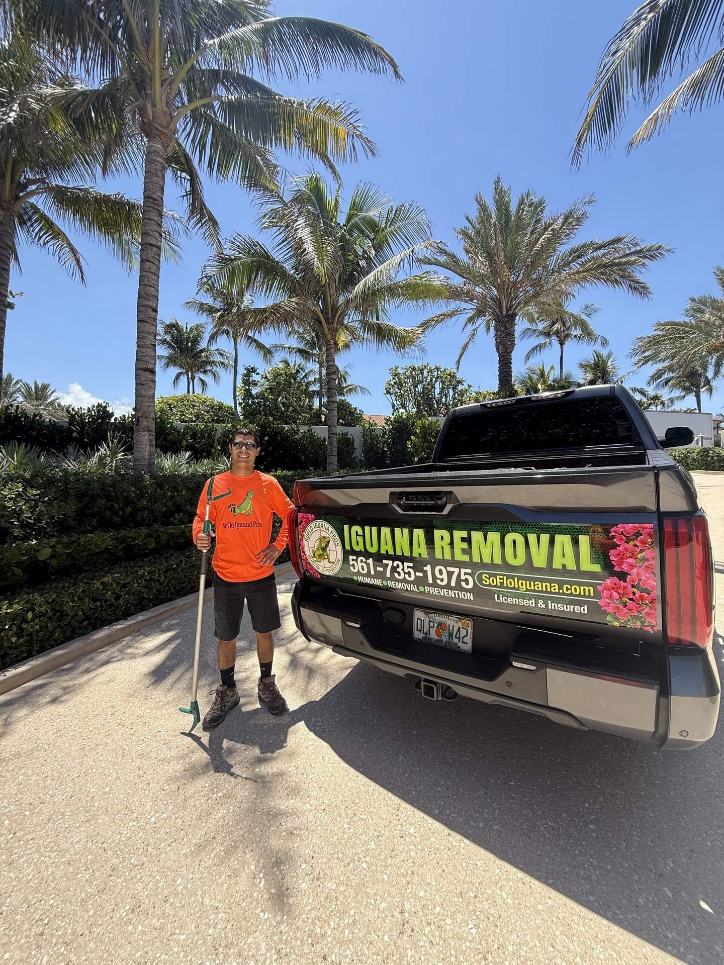 Iguana removal in Boynton Beach, FL