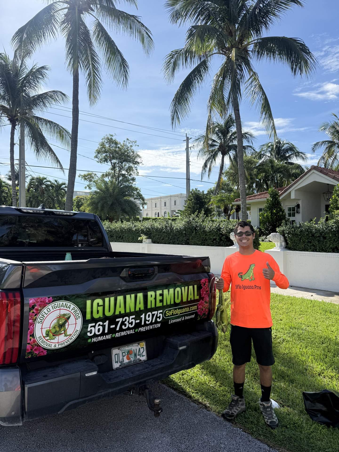 Iguana removal in Lantana, FL