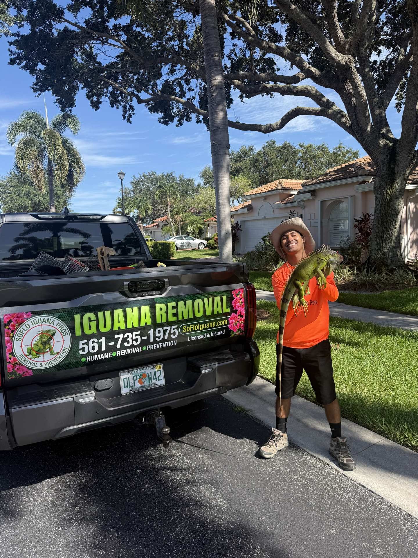 Iguana removal in Delray Beach, FL