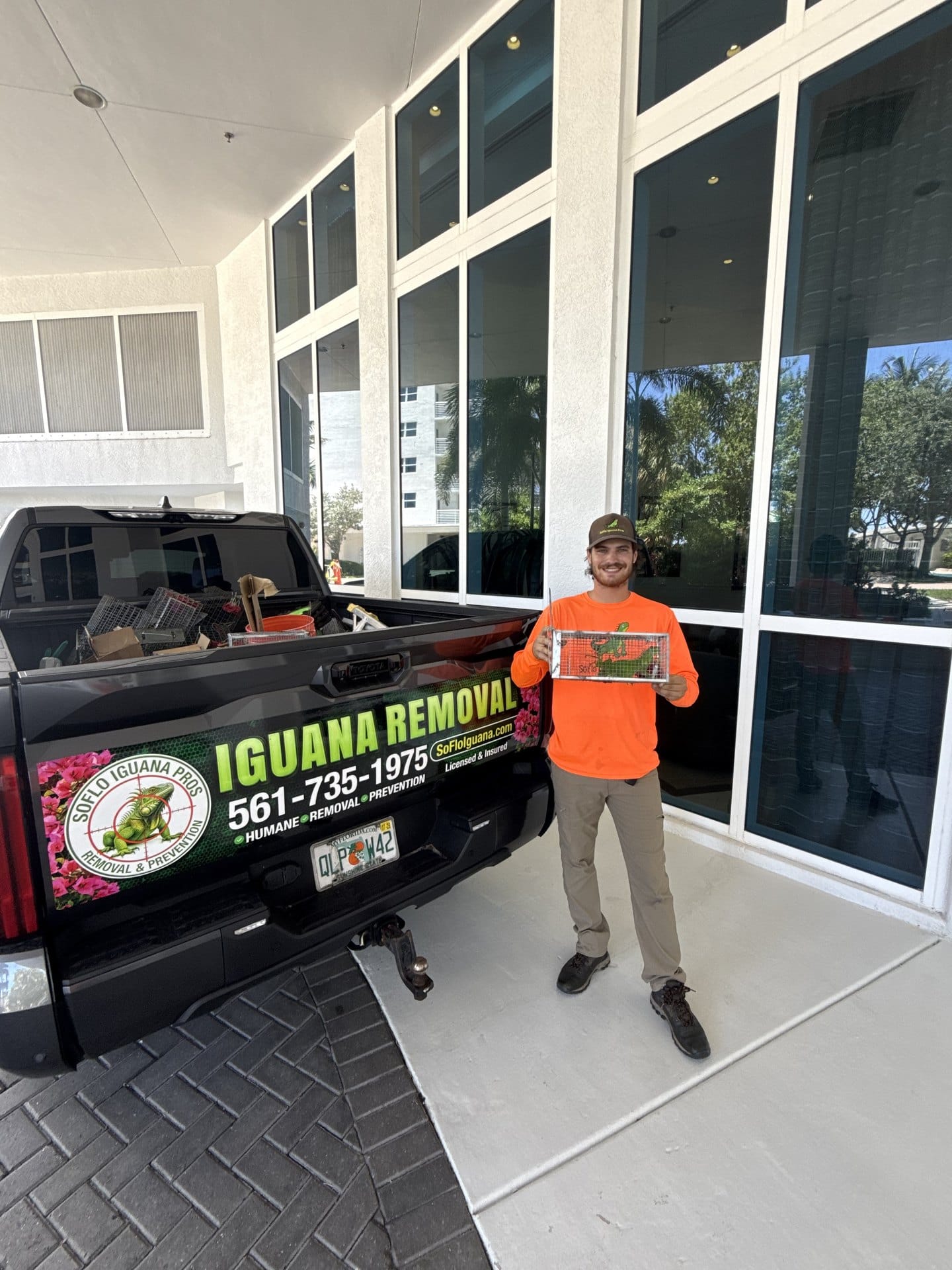 Iguana removal in Royal Palm Beach, FL