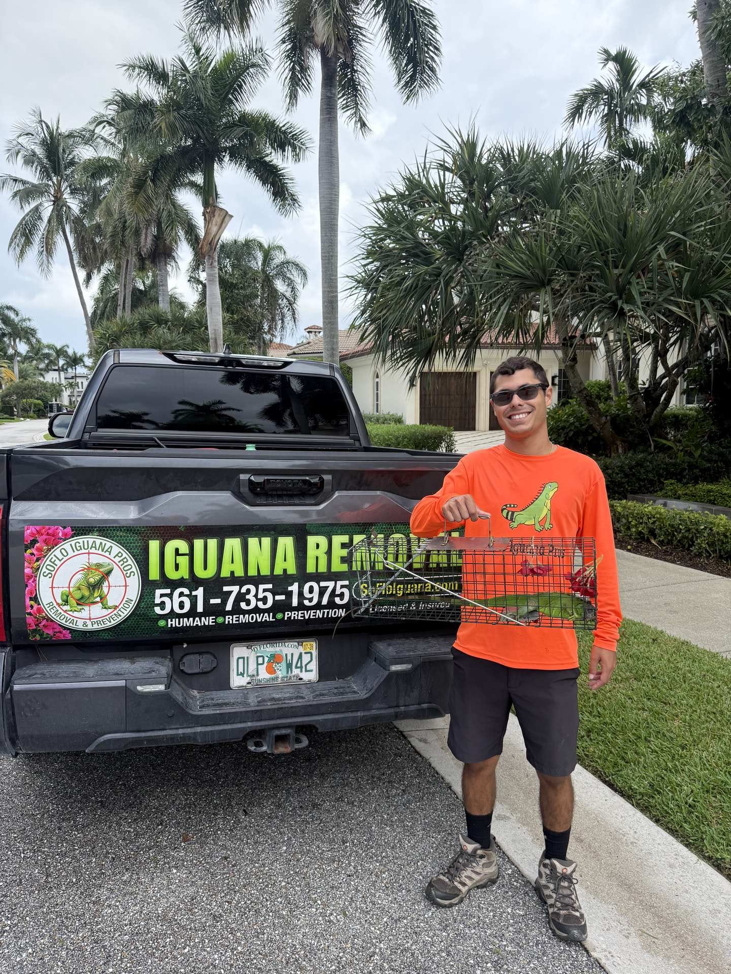 Iguana removal in Palm Beach Gardens, FL