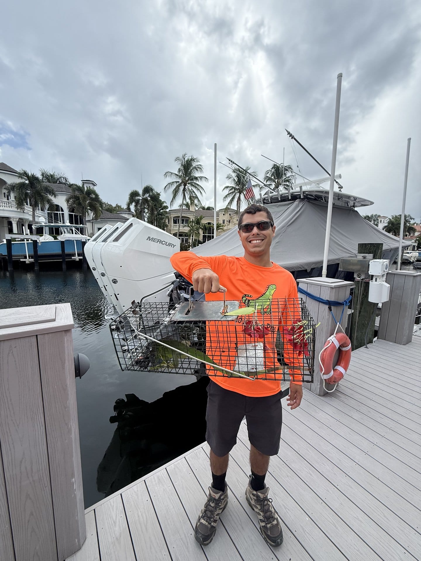 Iguana removal in Palm Springs, FL