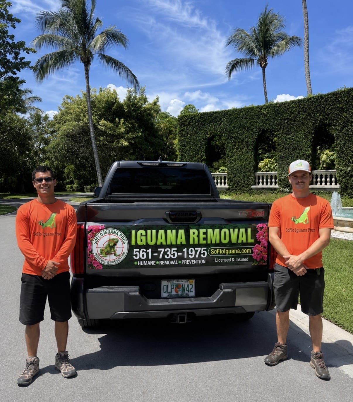 Iguana removal in Davie, FL