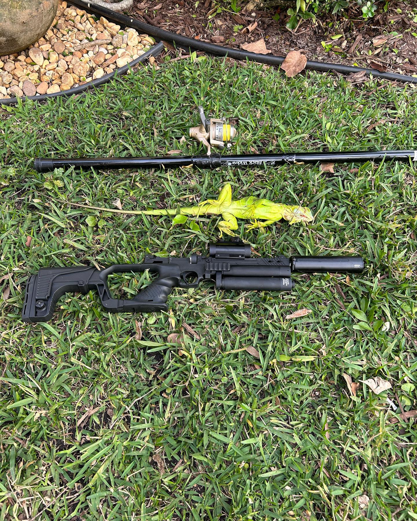 Soflo Iguana Pros 13