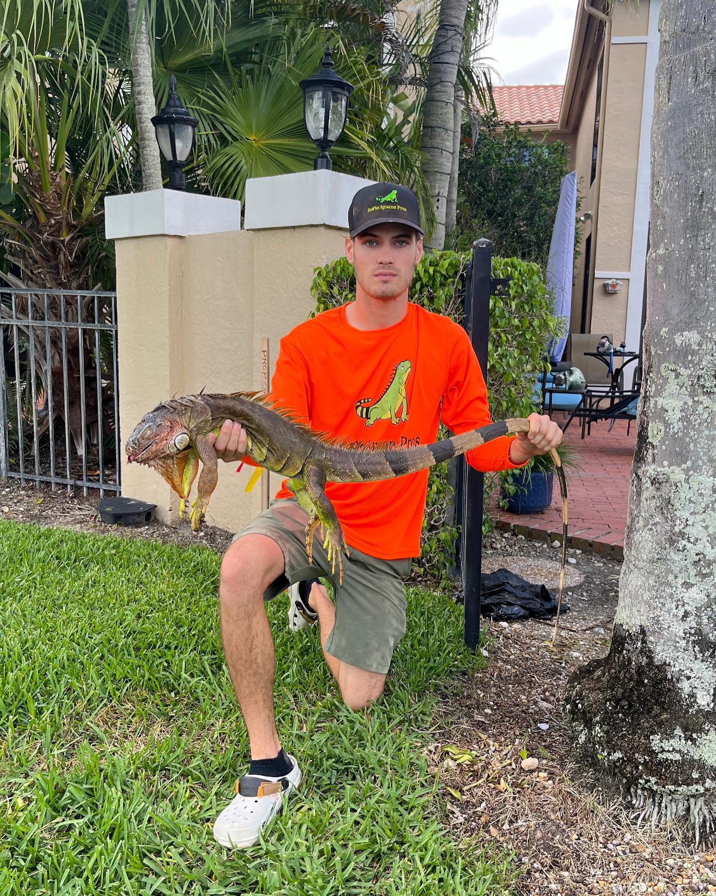 Soflo Iguana Pros 14