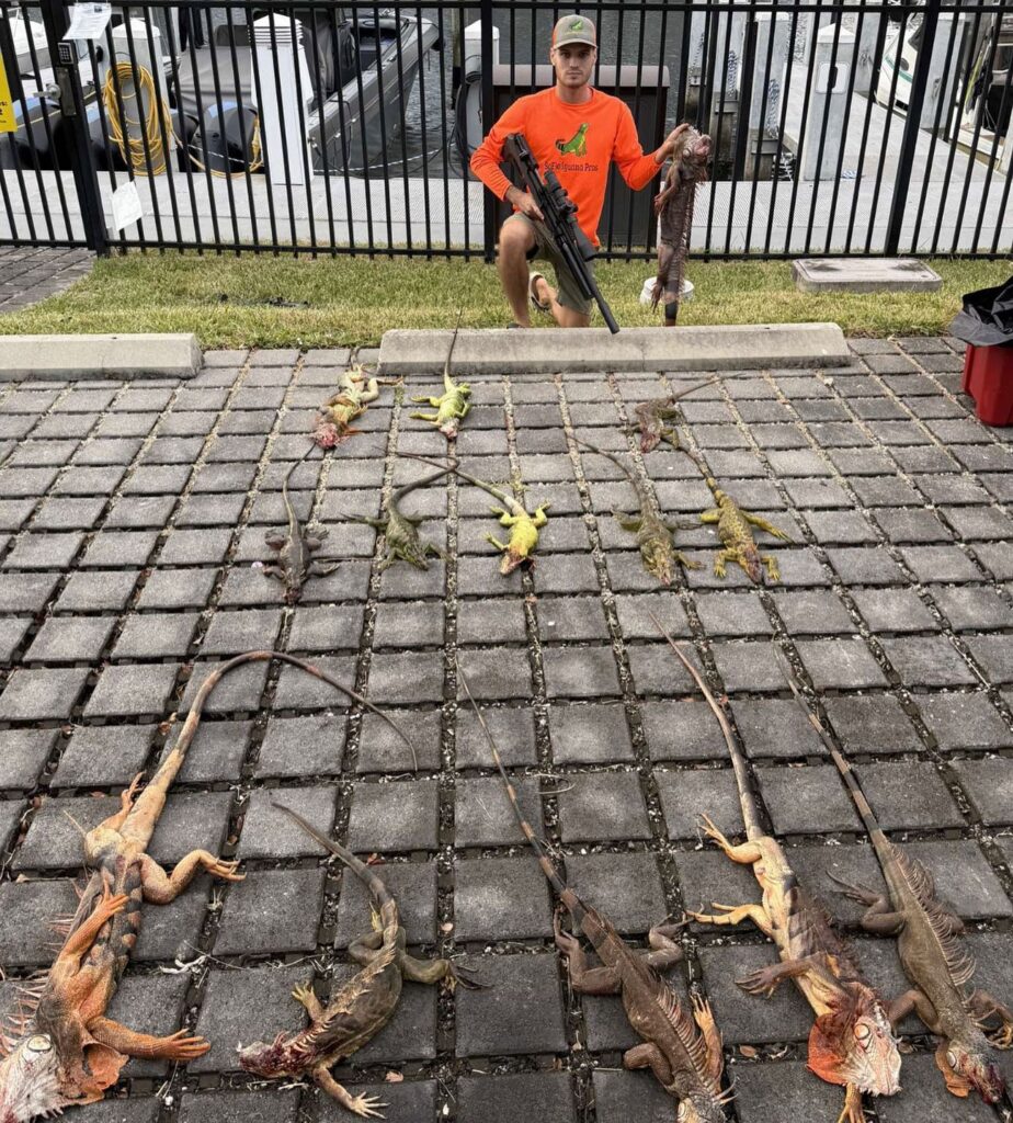 Soflo Iguana Pros 20