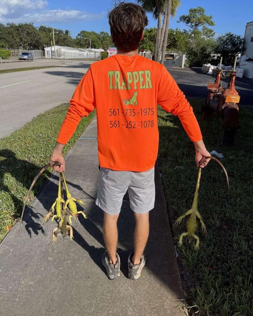 Soflo Iguana Pros 6