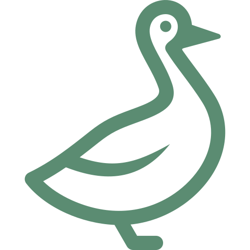 duck