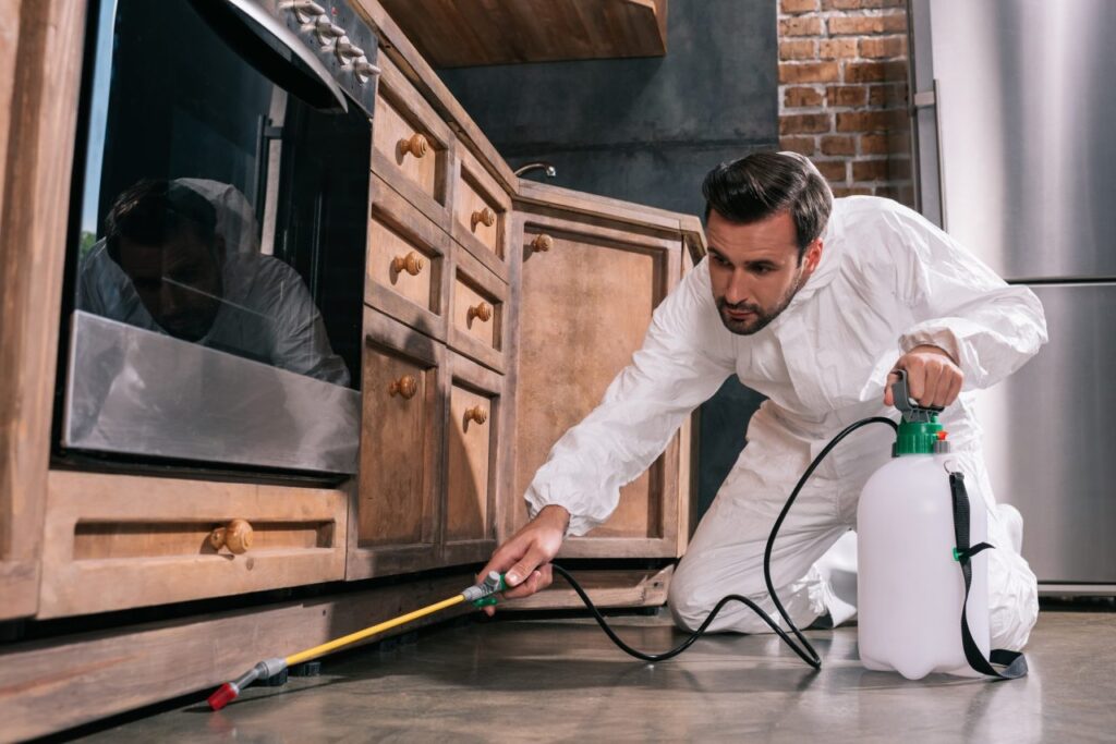 side view of pest control worker spraying pesticides under cabinet in kitchen