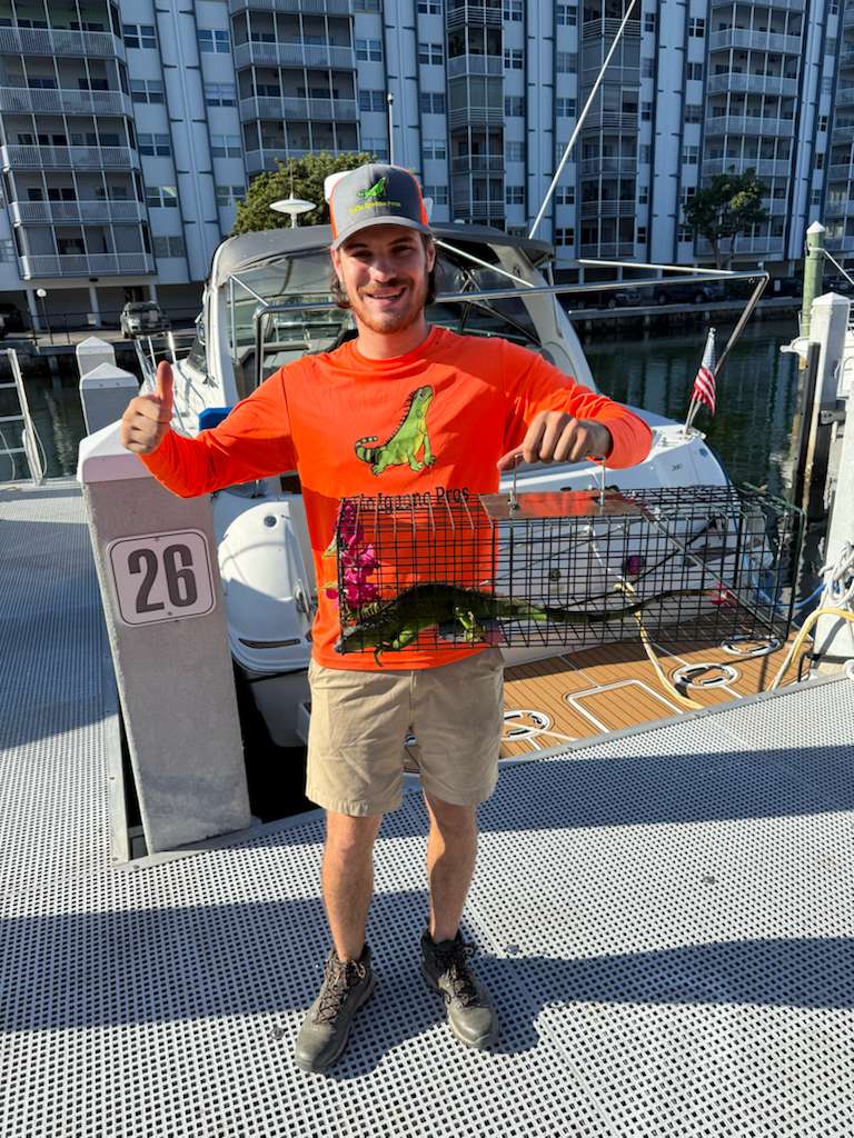 WhatsApp Image at AM ()