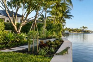 Iguana-Resistant Landscaping Ideas for South Florida Waterfront Homes